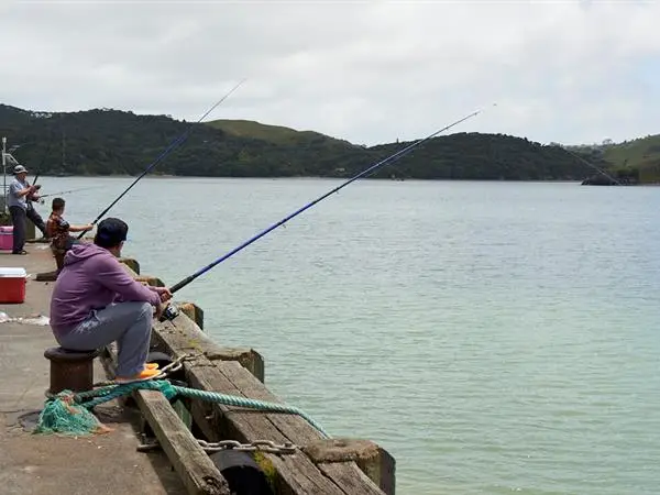 activities raglan fishing