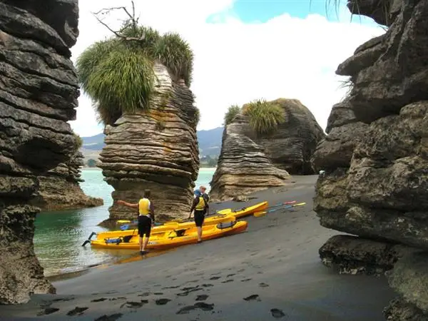 Activities Raglan - Kayaking