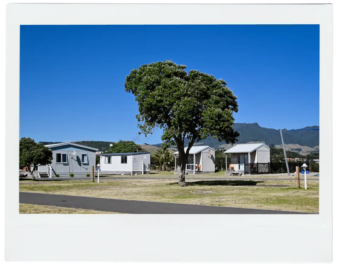 Raglan Holiday Park Bunk Rooms